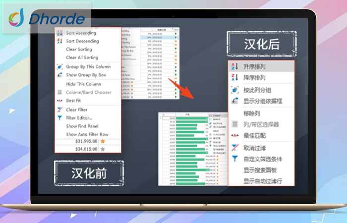 DevExpress汉化