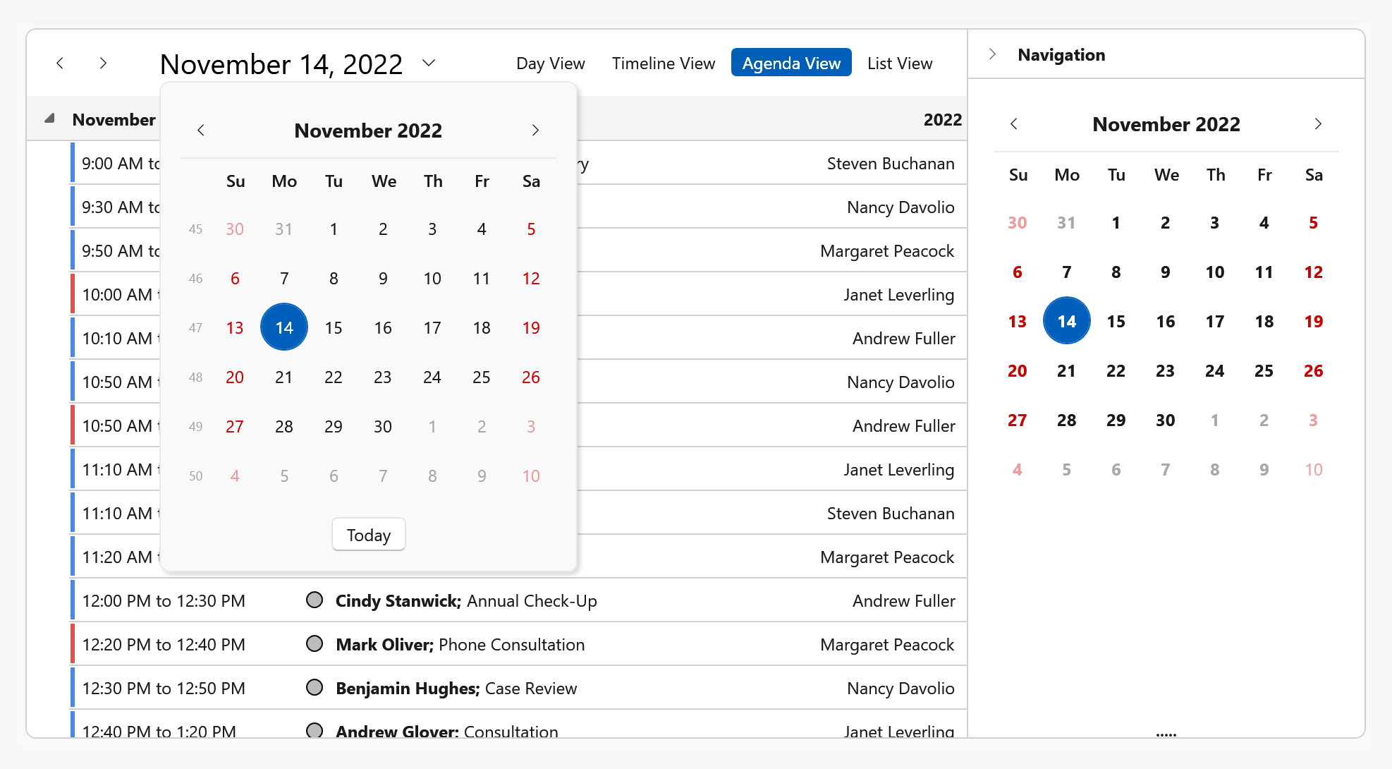 日期导航面板 - WPF Scheduler、DevExpress