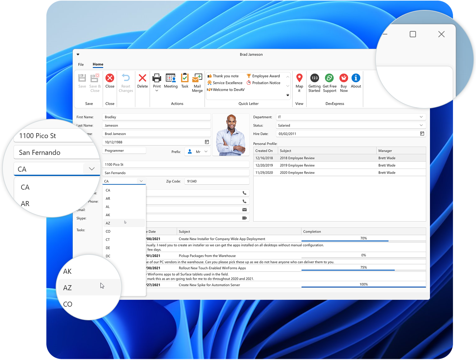 Windows 11 皮肤，DevExpress